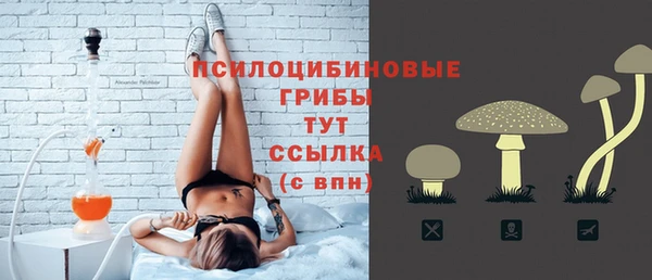 прущий лед Алзамай