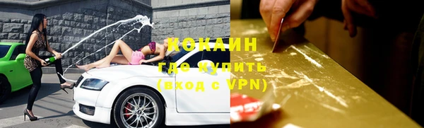 прущий лед Алзамай