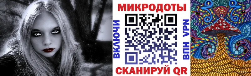 площадка официальный сайт Нелидово Псилоцибиновые грибы мицелий